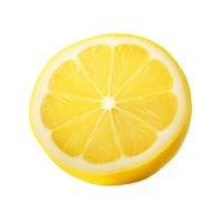 Vittorio’s Livingston shape